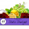 Табак Tangiers Burley Noir - Static Starlight (Вечный Свет Звёзд) 250 гр Табак Tangiers Burley Noir - Static Starlight (Вечный Свет Звёзд) 250 гр