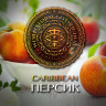 Табак WTO - Caribbean Blend (Персик) CB20 20 гр
