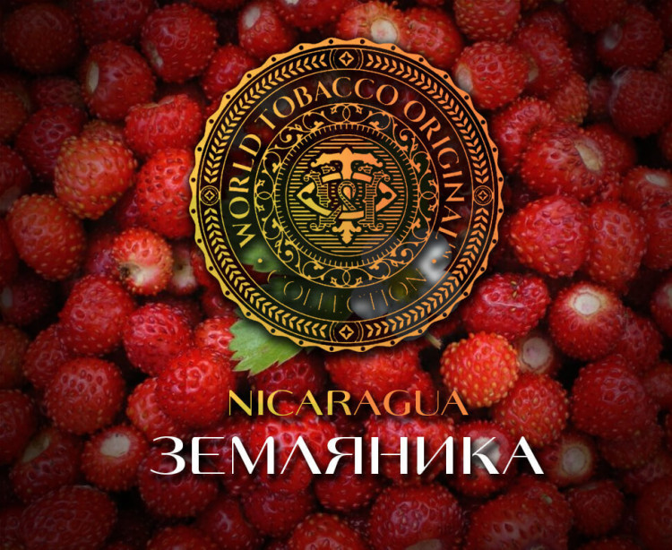 Табак WTO - Nicaragua (Земляника) N03 20 гр