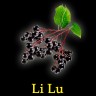 Табак New Yorker (крепкая линейка) - Li lu (Черемуха) 100 гр Табак New Yorker (крепкая линейка) - Li lu (Черемуха) 100 гр