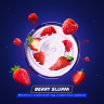 Паста для кальяна Space Smoke - Berry Slurm (Малиновый йогурт) 30 гр Паста для кальяна Space Smoke - Berry Slurm (Малиновый йогурт) 30 гр