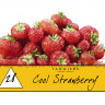 Табак Tangiers Noir - Cool Strawberry (Прохладная Клубника) 250 гр