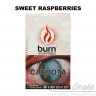Табак Burn - Sweet Raspberries (Сладко-кислая малина) 100 гр Табак Burn - Sweet Raspberries (Сладко-кислая малина) 100 гр