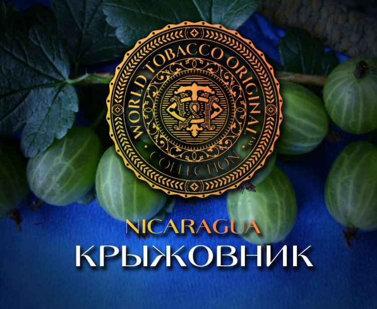 Табак WTO - Nicaragua (Крыжовник) N15 20 гр