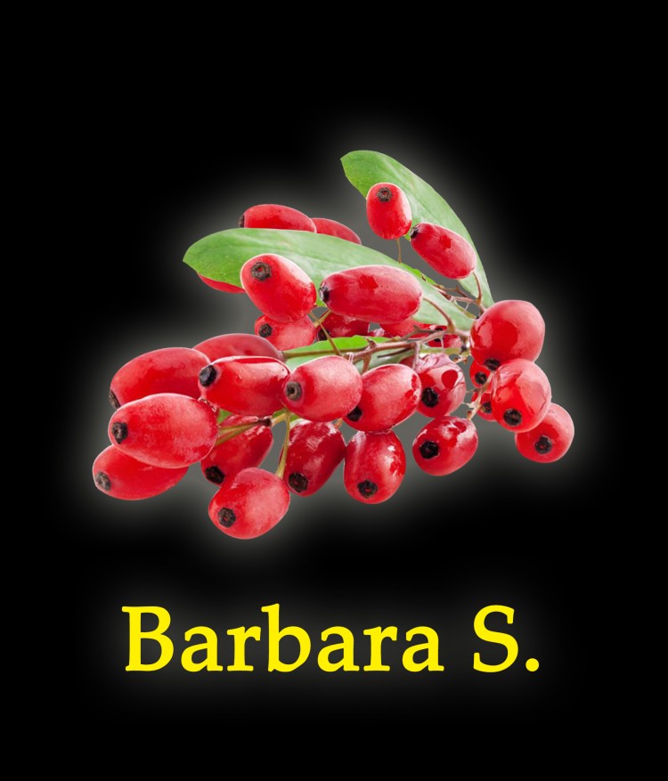 Табак New Yorker (средняя крепость) - Barbara s. (Барбарис) 100 гр